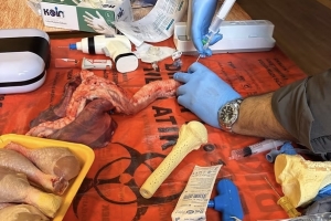 İSTANBUL SAĞLIK VE SOSYAL BİLİMLER MESLEK YÜKSEKOKULU 