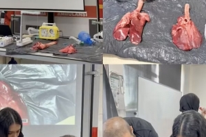 İSTANBUL GEDİK ÜNİVERSİTESİ SAĞLIK MESLEK YÜKSEKOKULU