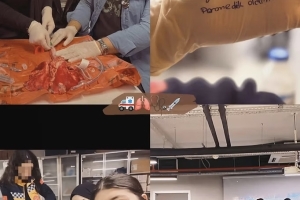 ALTINBAŞ ÜNİVERSİTESİ SAĞLIK HİZMETLERİ MESLEK YÜKSEKOKULU